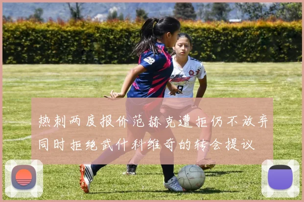 热刺两度报价范赫克遭拒仍不放弃同时拒绝武什科维奇的转会提议